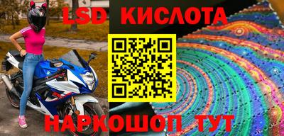 стаф Аргун