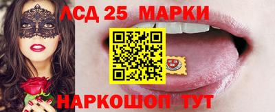 стаф Аргун