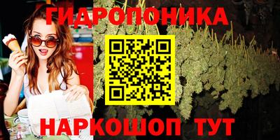 стаф Аргун