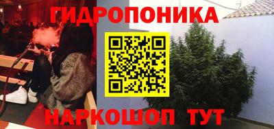 стаф Аргун